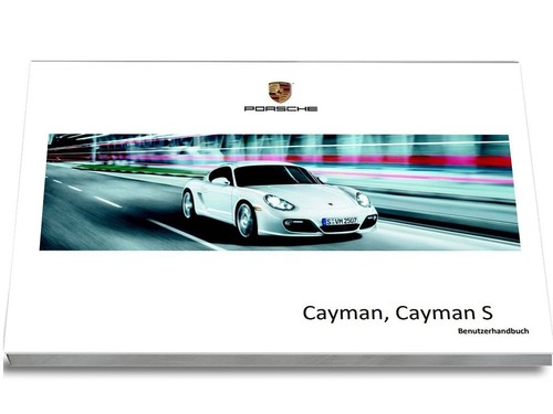 Porsche cayman 2009 - porsche,